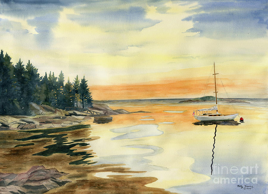 Sheepscot Bay - Southport Island Maine Painting by Melly Terpening