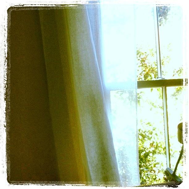 Home Photograph - Sheer Linen Drape By Window #instagram by Lynn Friedman