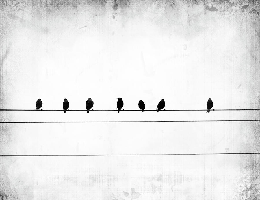 Bird Photograph - Sheet Music by Jeffrey Hummel