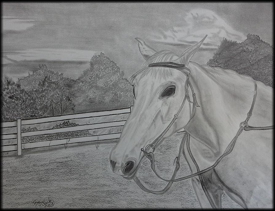 Horse Drawing - Sheika by Tony Clark