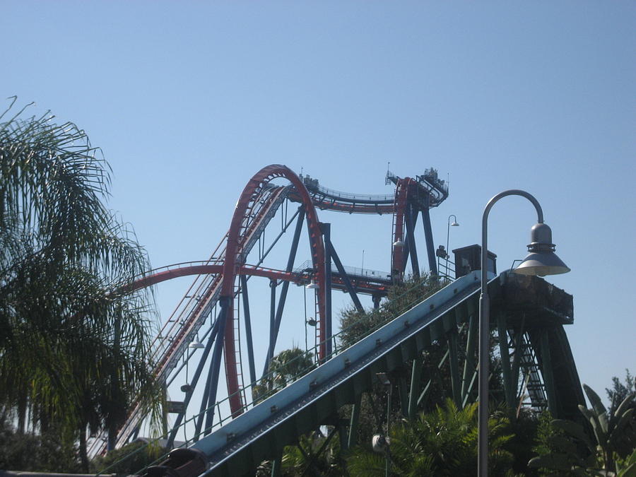 Sheikra Roller Coaster - Busch Gardens Tampa - 01131 Photograph by DC Photographer