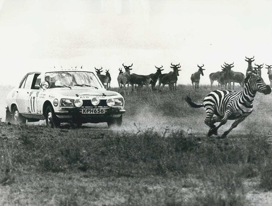 Shekhar Mehta Of Kenya Wins The Wins The East African Safari Motors Rally Photograph by Retro Images Archive