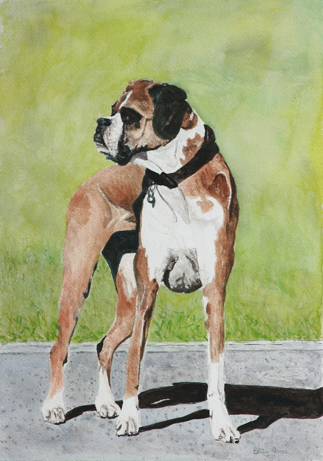 Shelby Painting by Betty-Anne McDonald