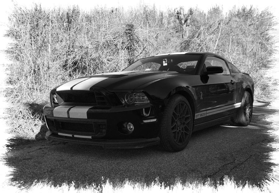 Shelby GT 500 Photograph by Gerald Kloss