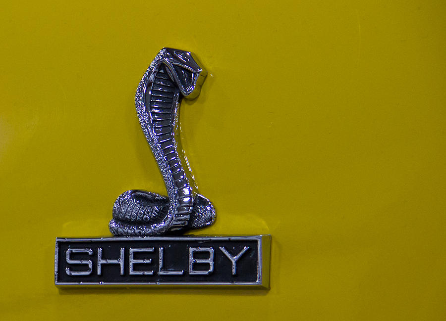 Vintage Photograph - Shelby GT350 emblem on yellow by Eti Reid