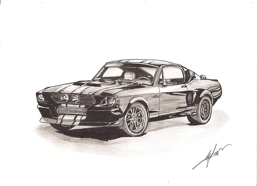 Shelby Drawing by Mihai Sima - Pixels