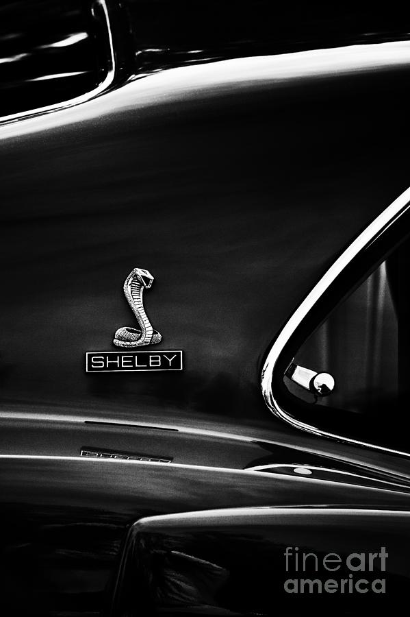 Shelby Mustang GT350 Photograph by Tim Gainey