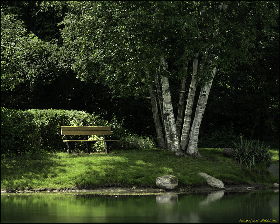 Shelby Townships Heritage Garden park bench Photograph by LeeAnn McLaneGoetz McLaneGoetzStudioLLCcom