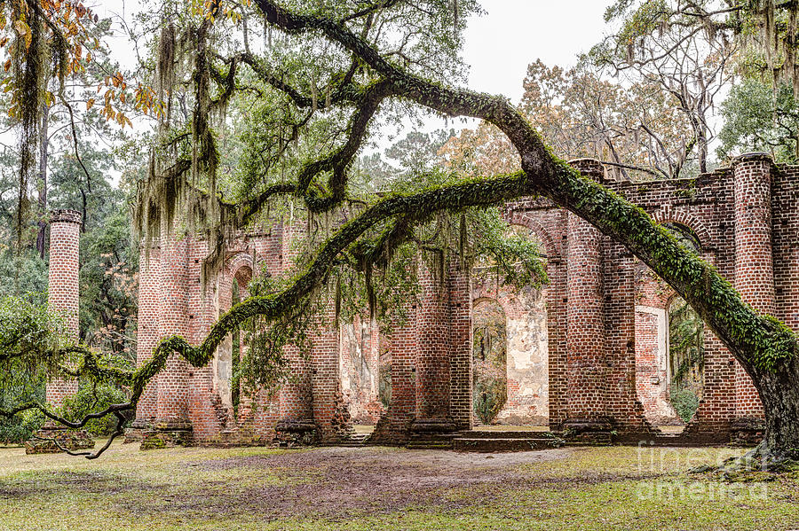 Sheldon Church Ruins Beaufort County South Carolina Photograph by Dawna Moore Photography