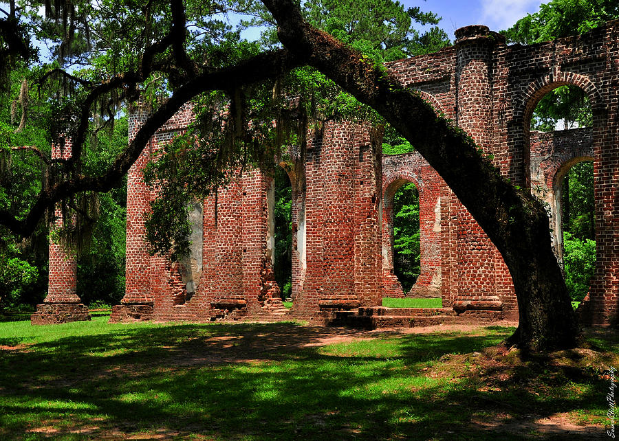 Sheldon Church Ruins in South Carolina Photograph by Susan Cliett