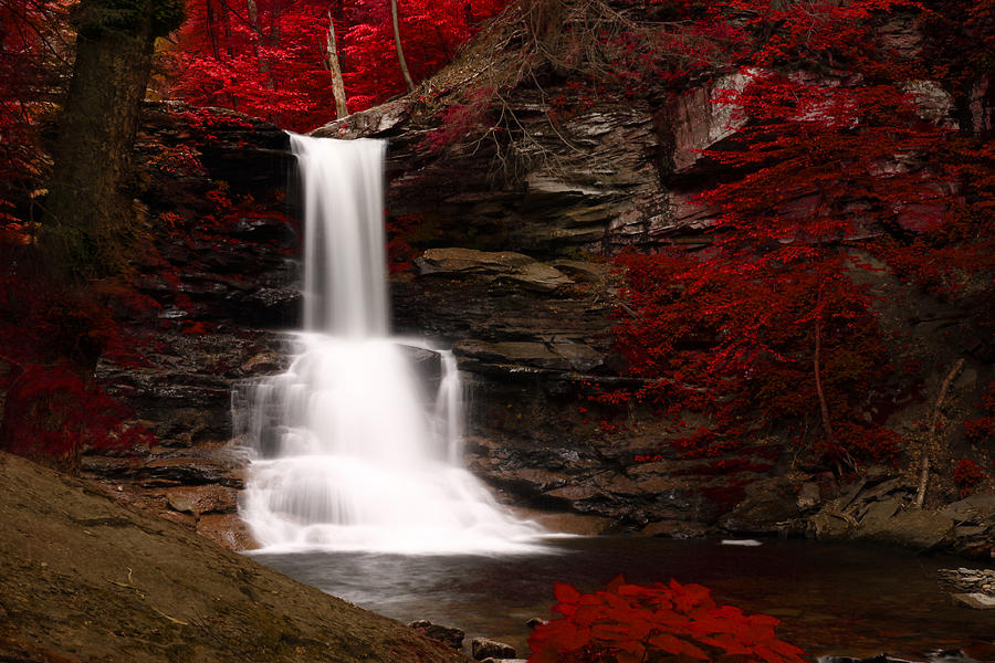 Waterfall Photograph - Sheldon Reynolds Waterfalls by David Simons