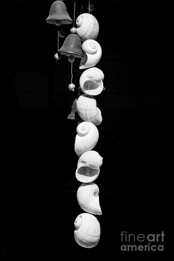 Black And White Photograph - Shell and Bell Wind Chime - Black and White by Ian Monk