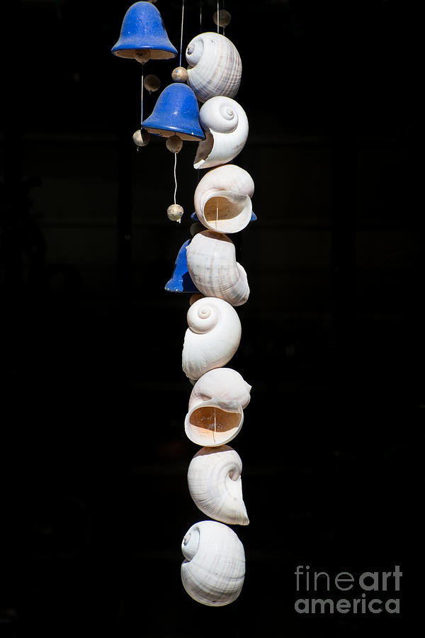 Portrait Photograph - Shell and Bell Wind Chime by Ian Monk