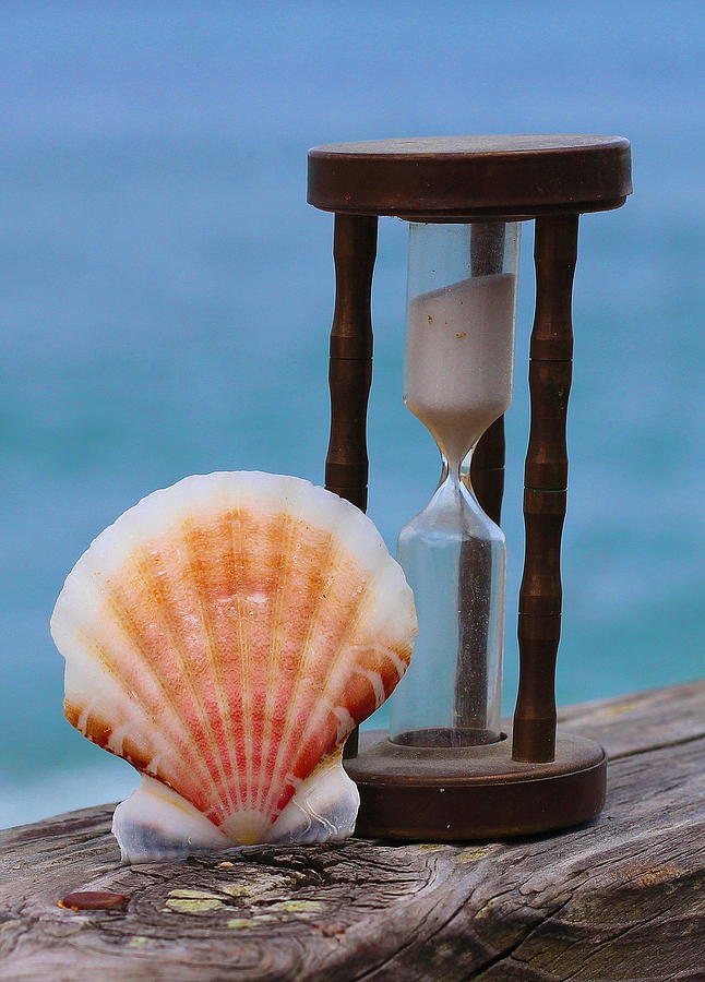 Shell Photograph - Shell and Hourglass Sand Timer  by Cathy Lindsey