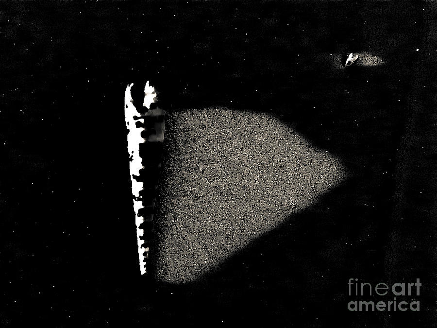 Shell Picture Shadowing Shell and Its Shadow Photograph by Fei A - Pixels