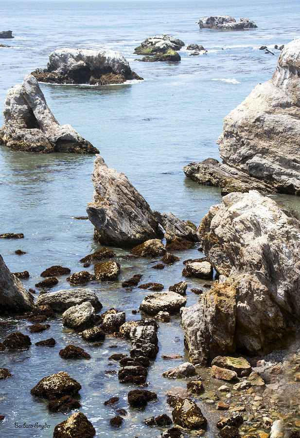 Shell Beach Rocky Coastline Digital Art by Baarbara Snyder - Fine Art ...