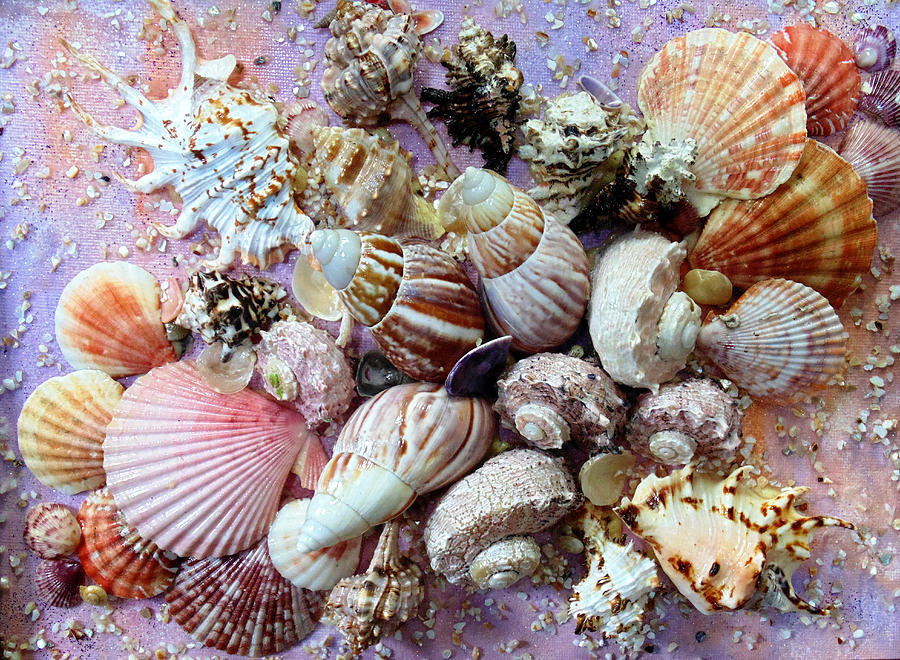 Shell Bouquet 11 Mixed Media by Karin Dawn Kelshall Best Fine Art