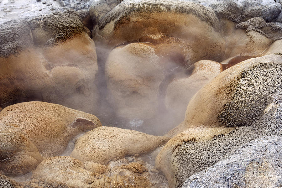 Shell Geyser Photograph by Charline Xia