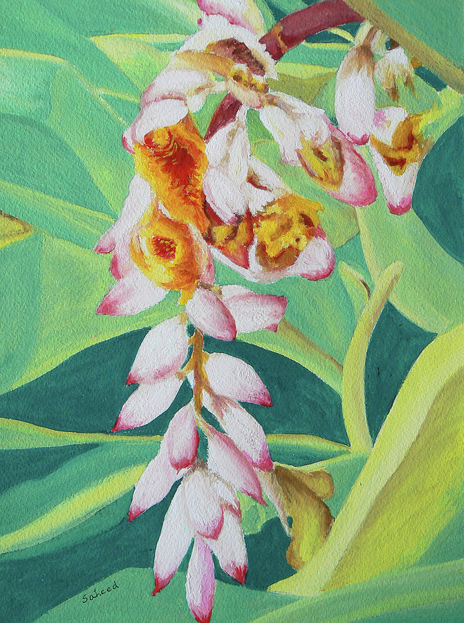 Shell Ginger Painting by Margaret Saheed
