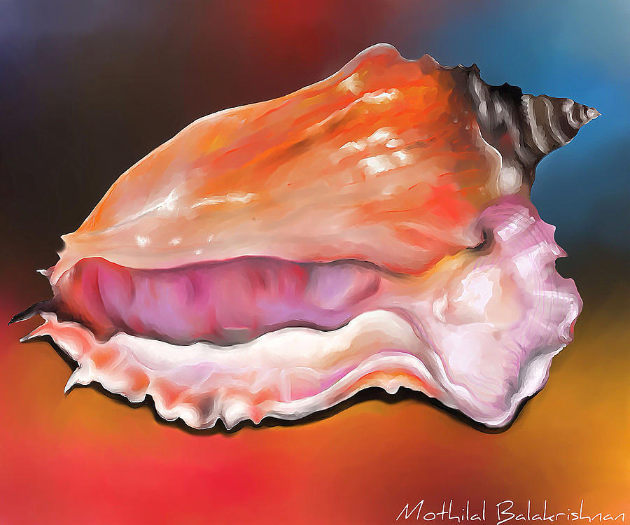 Shell Digital Art by Mothilal Balakrishnan