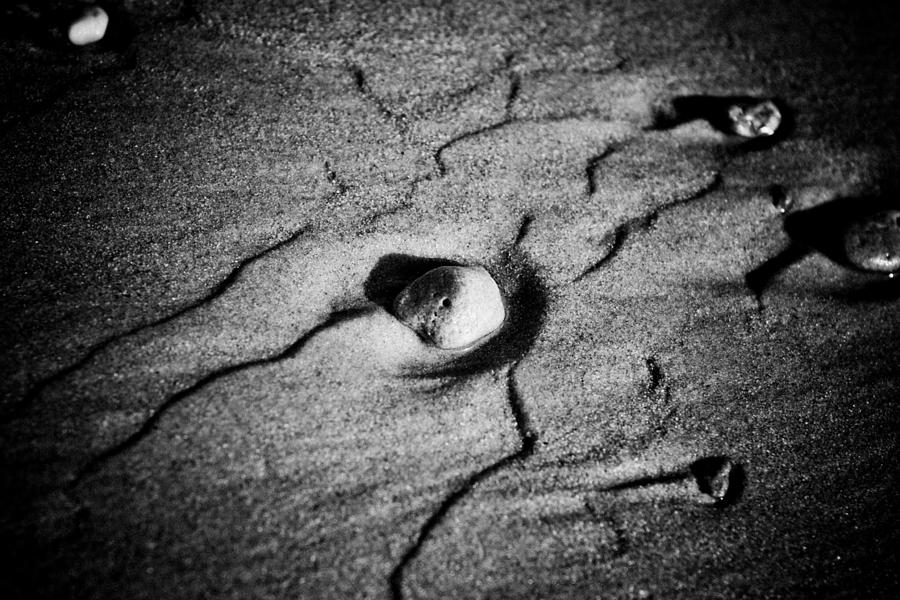 Shell on the sand black and white photography Photograph by Raimond Klavins
