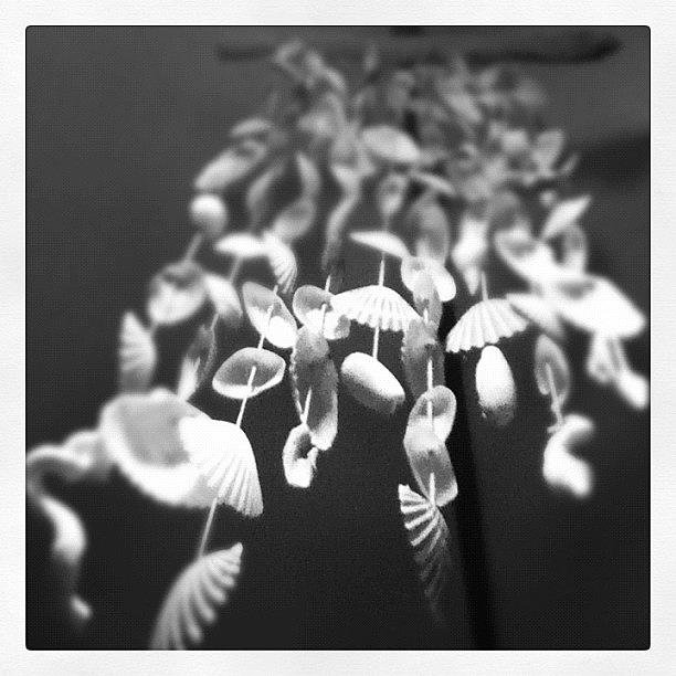 Black And White Photograph - Shell Wind Chimes #wind Chimes #homemade by Morgan Brunner