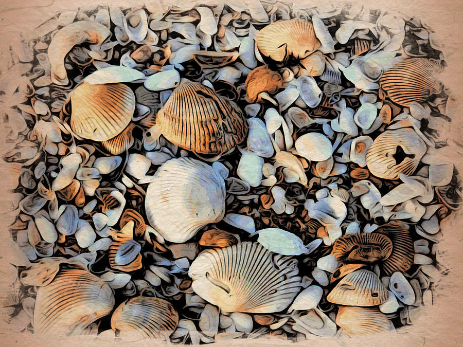 Shells Photograph by Alice Gipson