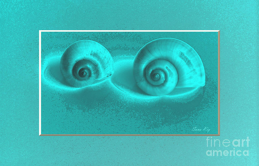 Shells. Special Blue  Digital Art by Oksana Semenchenko