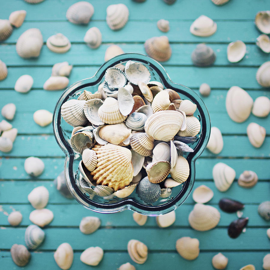 Shells In Bowl Photograph by Julia Davila-lampe
