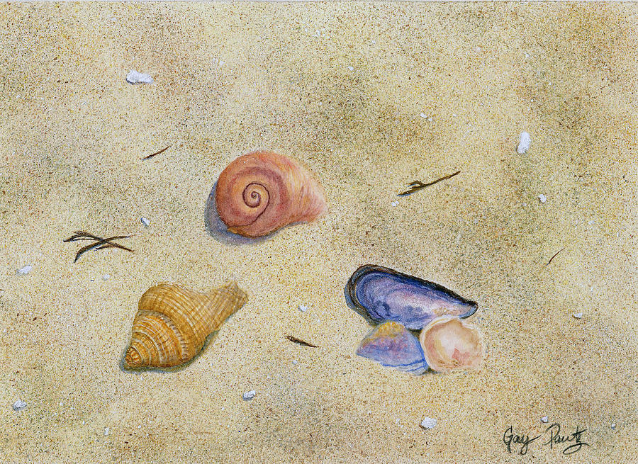 Shells on the Sand  Painting by Gay Pautz