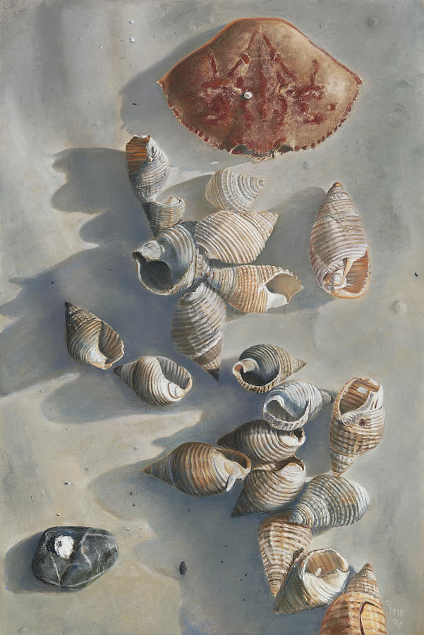 Shells on a Sandy Beach Painting by Nick Payne