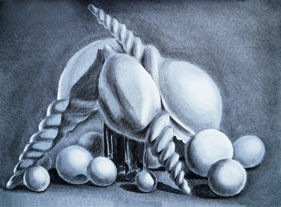 Shells Shells And Balls Still Life Drawing by Irina Sztukowski