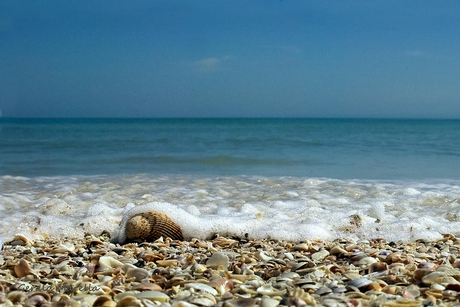 Shell Photograph - Shells surf and blue sky by Gerald Marella