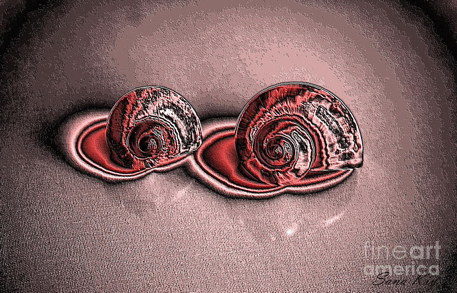 Shells.Surrealism Digital Art by Oksana Semenchenko