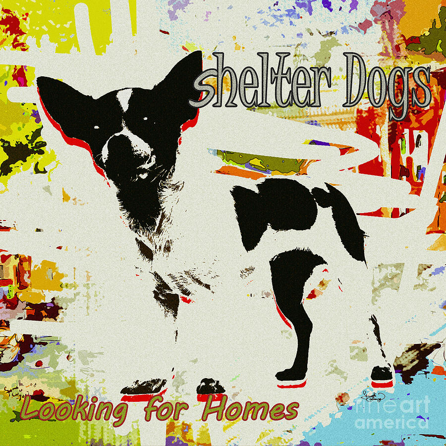 Dog Digital Art - Shelter Dogs Looking For Homes by Ginette Callaway