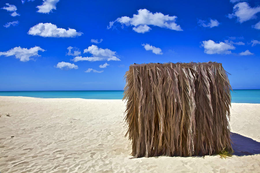 Shelter on a White Sandy Caribbean Beach with a Blue Sky and White Clouds II Photograph by David Letts
