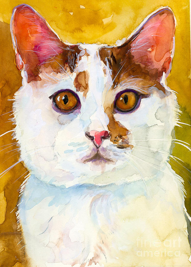 Cat Painting - Shelter Sweety Two by Molly Poole