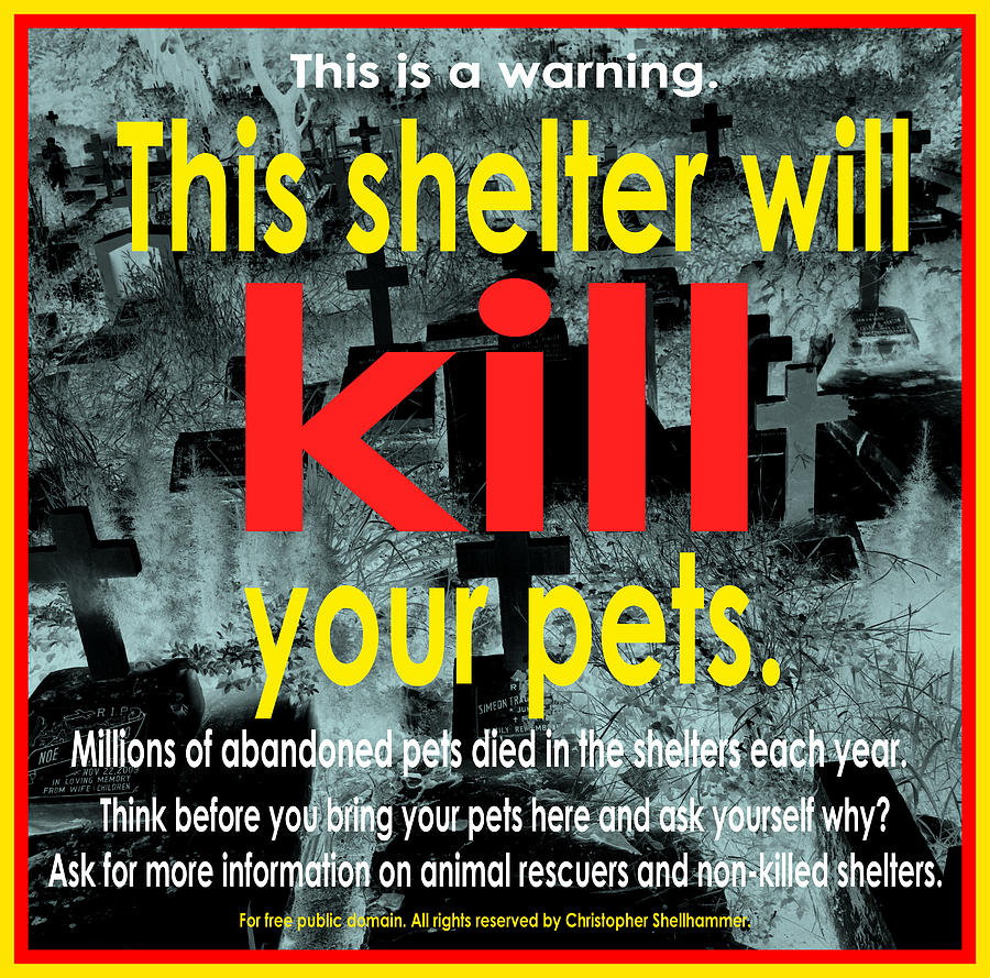 Shelter will kill your pets Photograph by Christopher Shellhammer