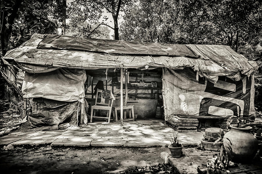 Sheltered Photograph by Scott Wyatt