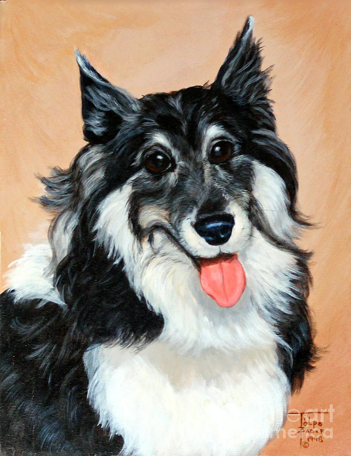 Sheltie by Art By - Ti Tolpo Bader Sheltie by Art By - Ti Tolpo Bader