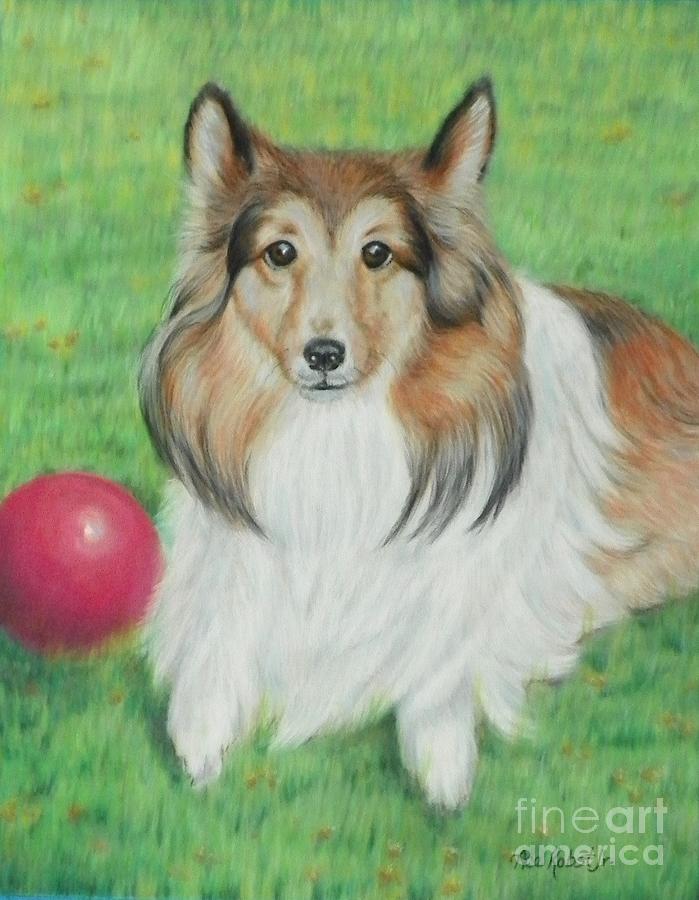 Dog Pastel - Sheltie Collie by Ace Robst Jr