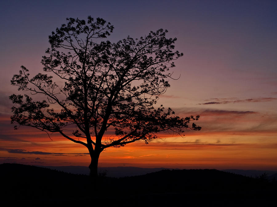 Shenandoah Sunset Photograph by Shannon Workman