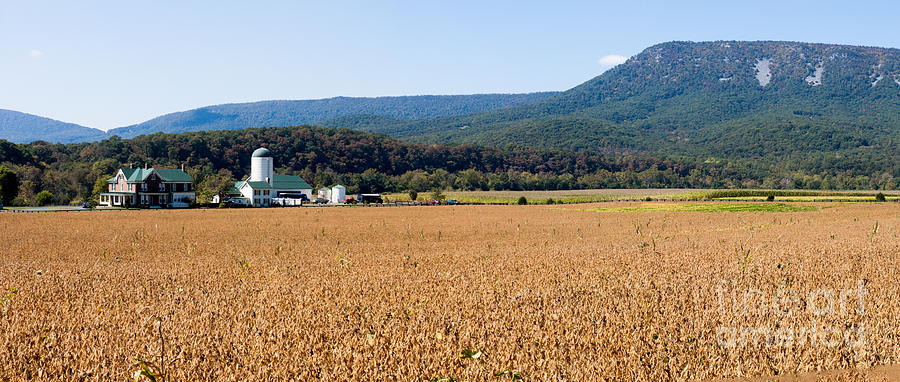Shenandoah Valley Panorama Photograph by Thomas Marchessault
