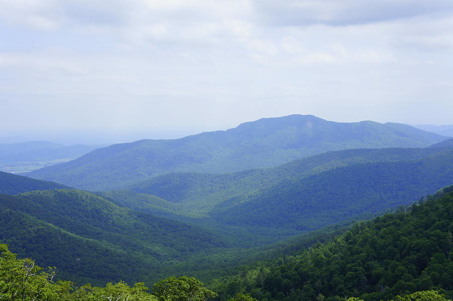 Shenandoah View Photograph by Laurie Perry