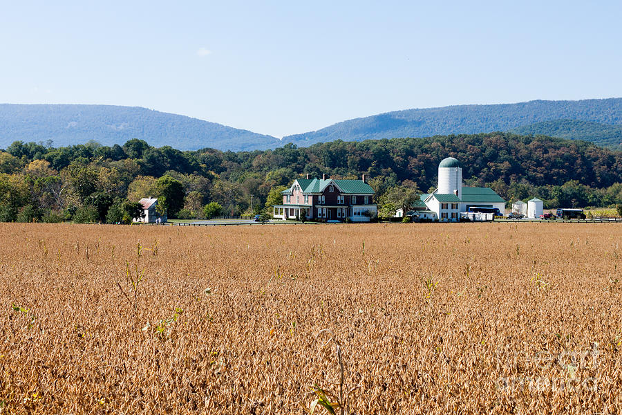 Shenandoah Valley Farmstead Photograph by Thomas Marchessault