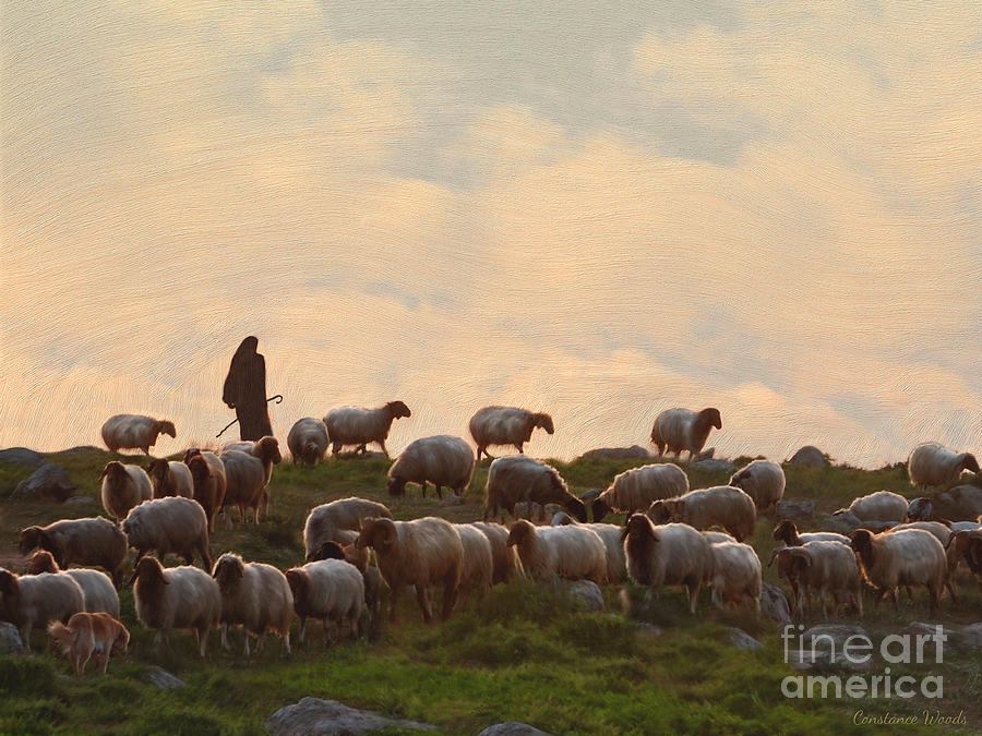 Shepherd With Sheep standard size Painting by Constance Woods