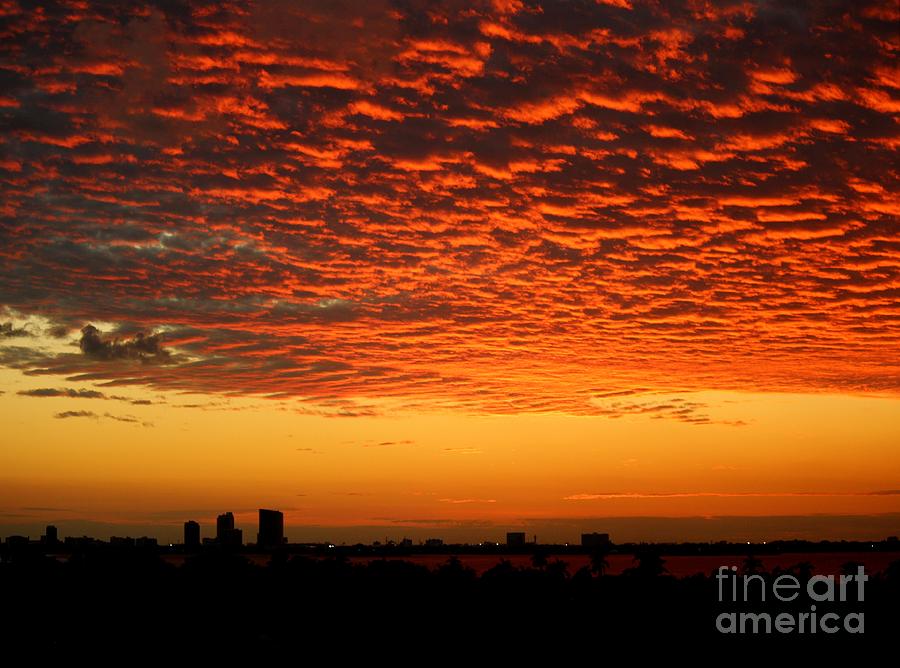 Shepherds Delight 3 Photograph by Rene Triay FineArt Photos