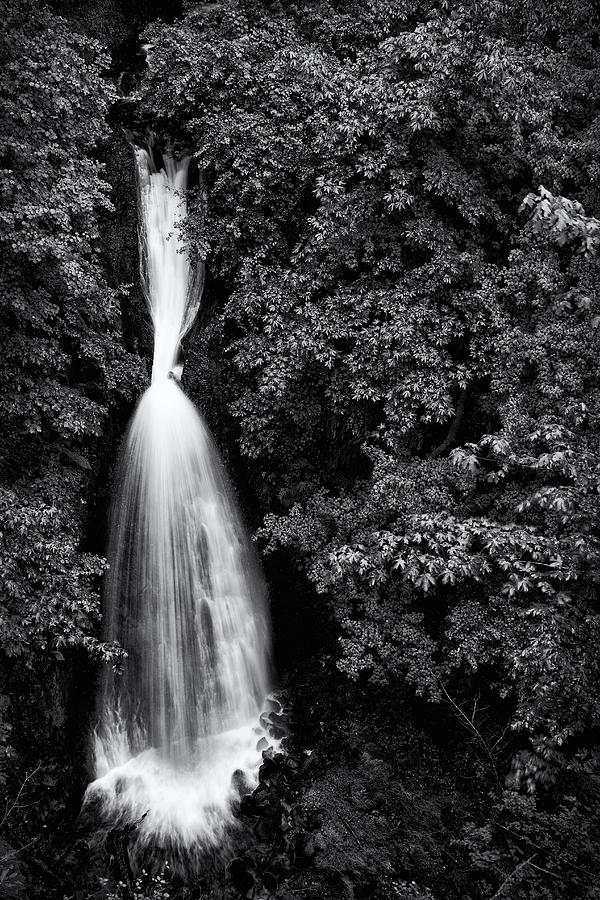 Shepperds Dell Falls Photograph by Jayme Spoolstra