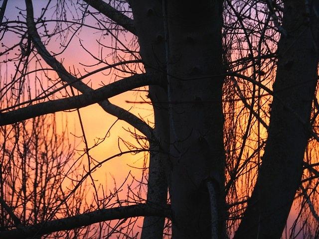 Sherbet Sunset Photograph by Chris Dunn