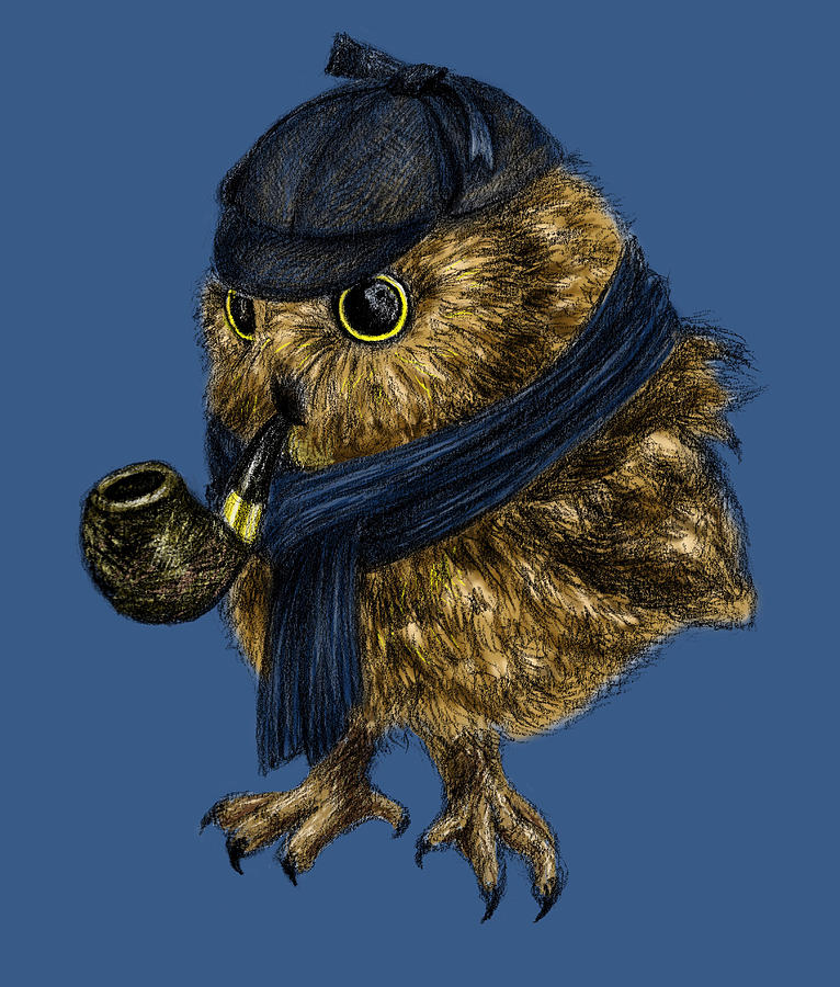 sherlock-owl-anna-shell.jpg
